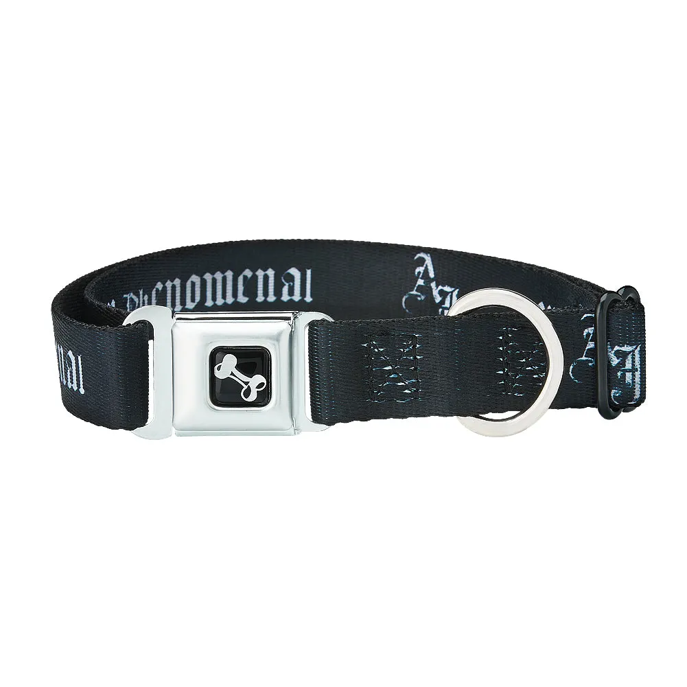 AJ Styles P1 Dog Collar