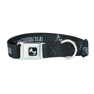 AJ Styles P1 Dog Collar