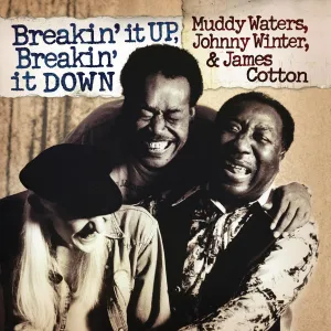 Breakin' It Up Breakin' It Down Clear Gold Audiophile Poster