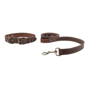 Collar and Leash